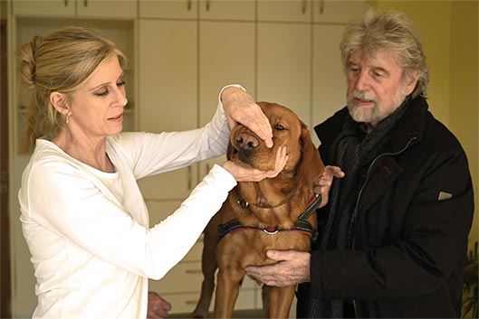 Anja Stahl untersucht einen Hund